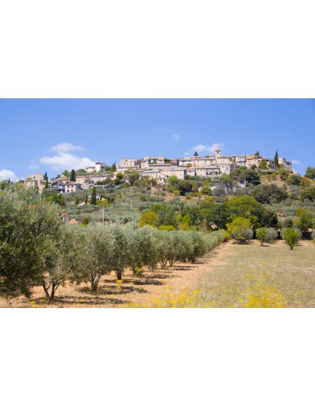 Esempio: Agriturismo Demo