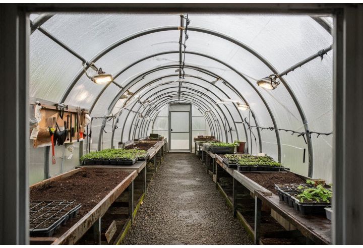 Progettazione Orto e Serre | Realizzazione di Orti e Serre su Misura per Giardini Privati e Spazi Esterni