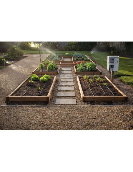 Progettazione Orto e Serre | Realizzazione di Orti e Serre su Misura per Giardini Privati e Spazi Esterni
