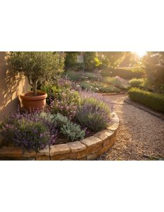 Design Aiuole | Progettazione e Realizzazione di Aiuole Fiorite per Giardini Privati e Spazi Esterni