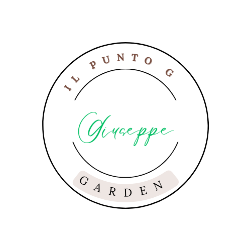 IL Punto G